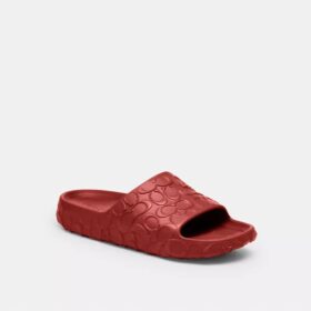 Bay Slide en diseño exclusivo