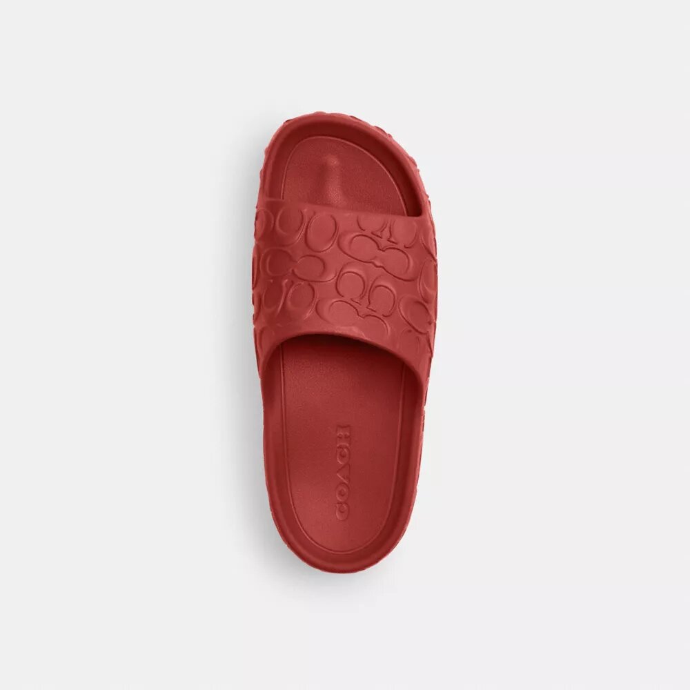 Bay Slide en diseño exclusivo