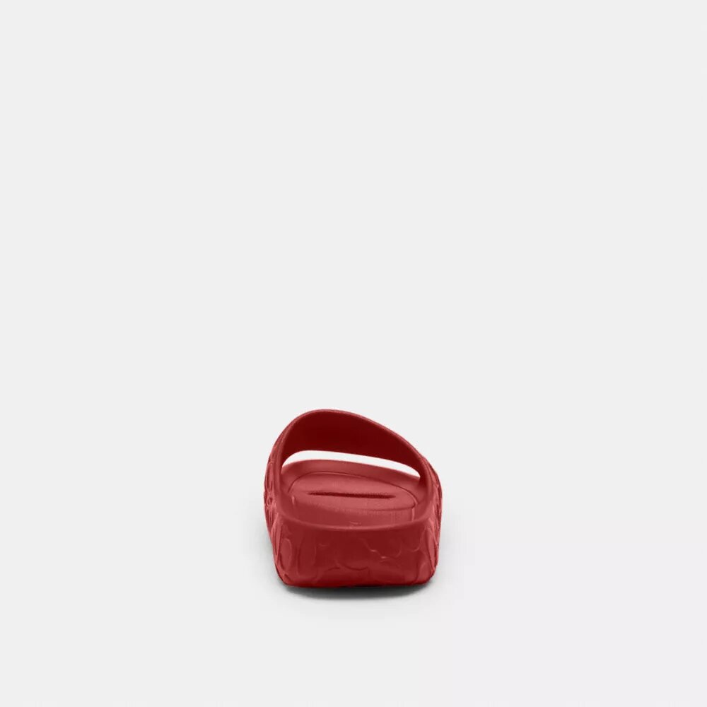Bay Slide en diseño exclusivo