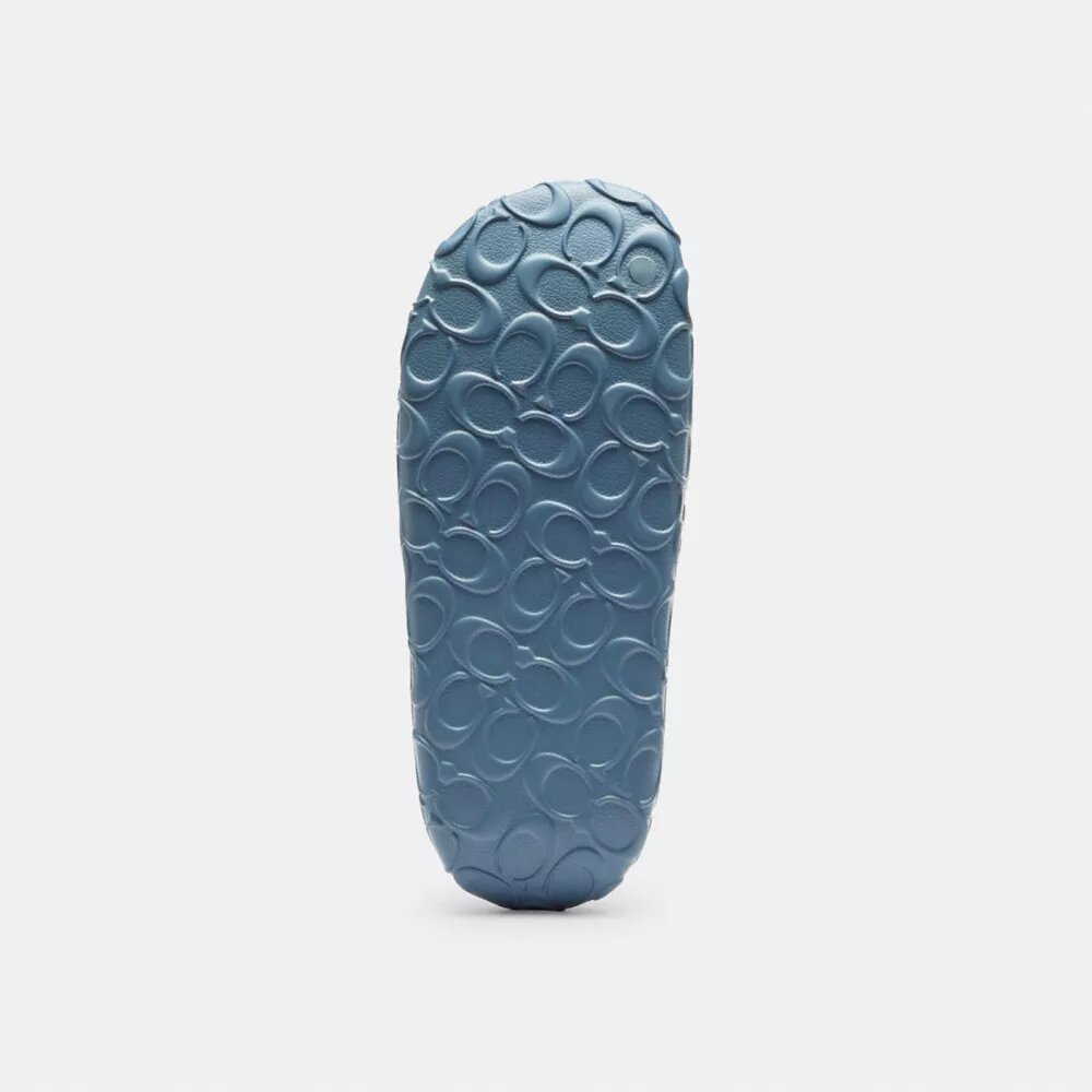 Bay Slide en diseño exclusivo
