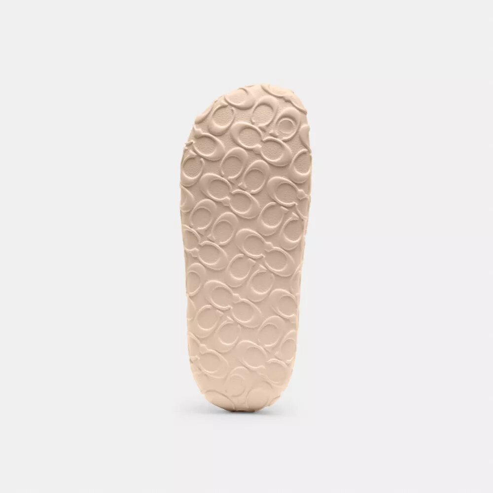 Bay Slide en diseño exclusivo
