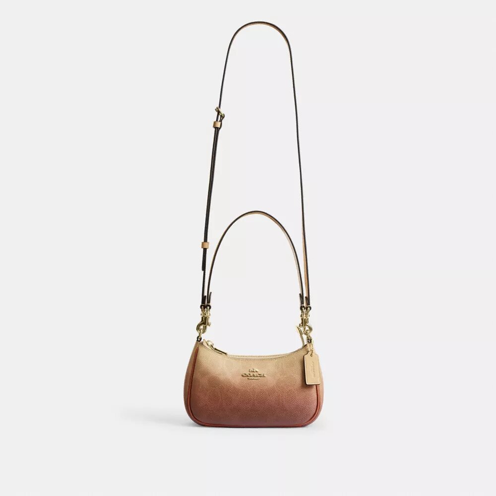 Bolso bandolera mini Teri en Signature Canvas