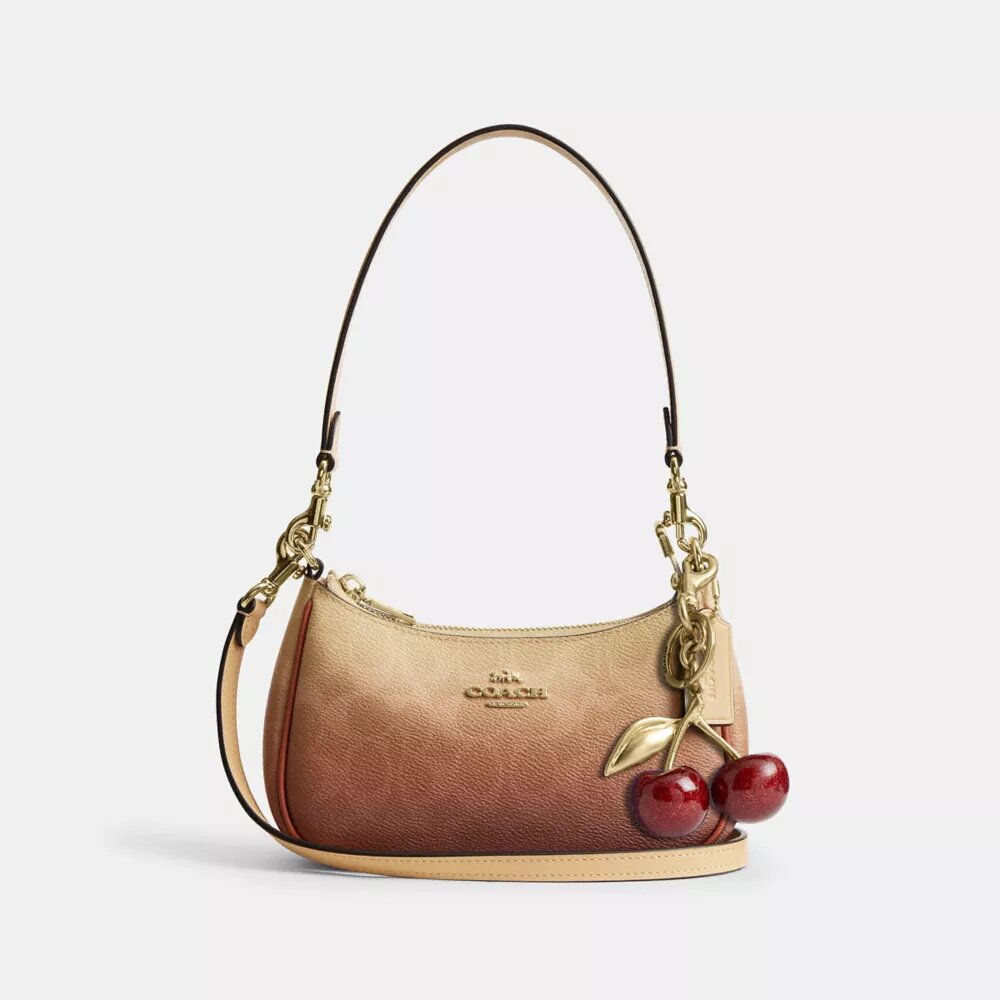 Bolso bandolera mini Teri en Signature Canvas