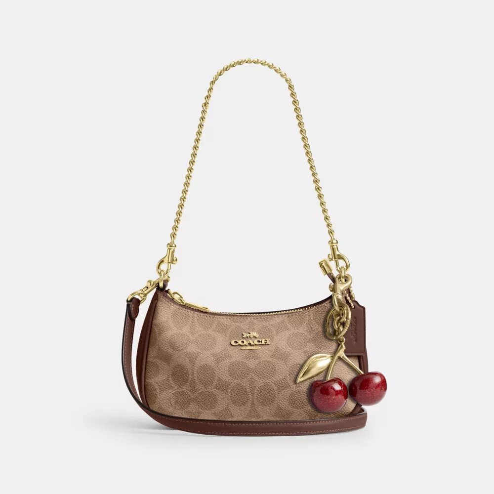 Bolso bandolera Teri Mini en Signature Canvas