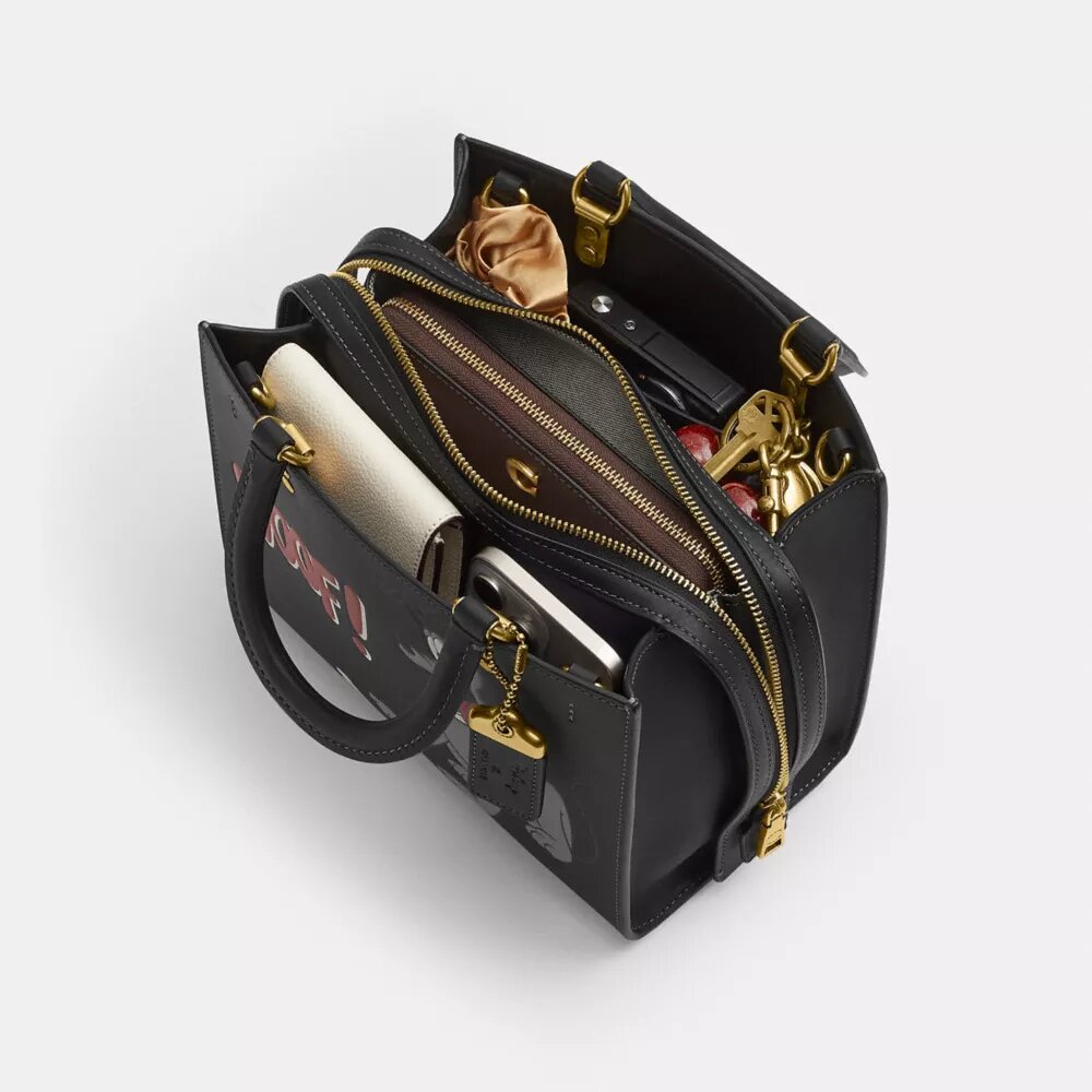 Bolso Disney X Coach Rogue 25 con Pluto