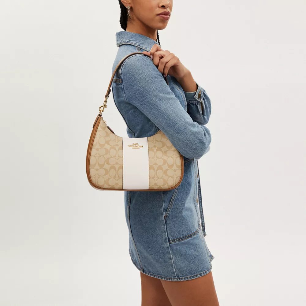 Bolso hobo Teri en Signature Canvas con rayas