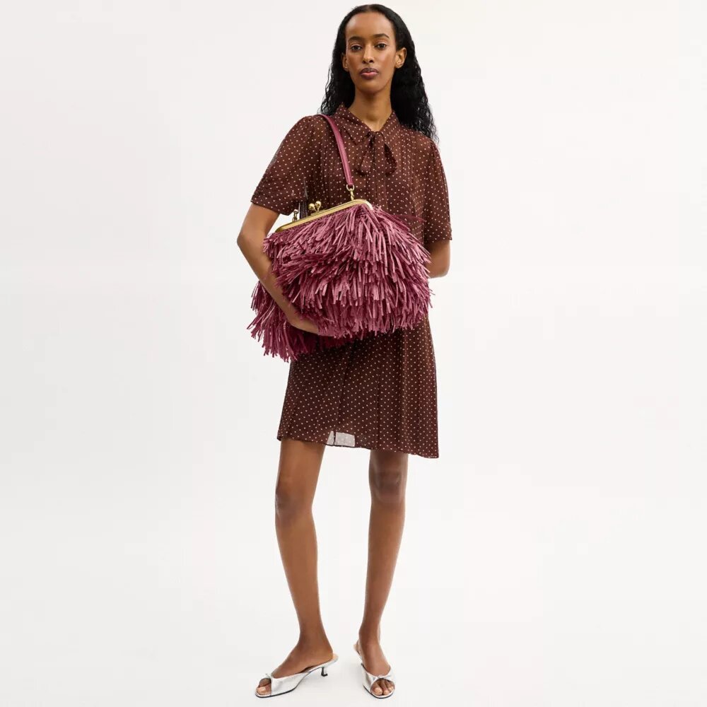 Bolso Kisslock Frame 27