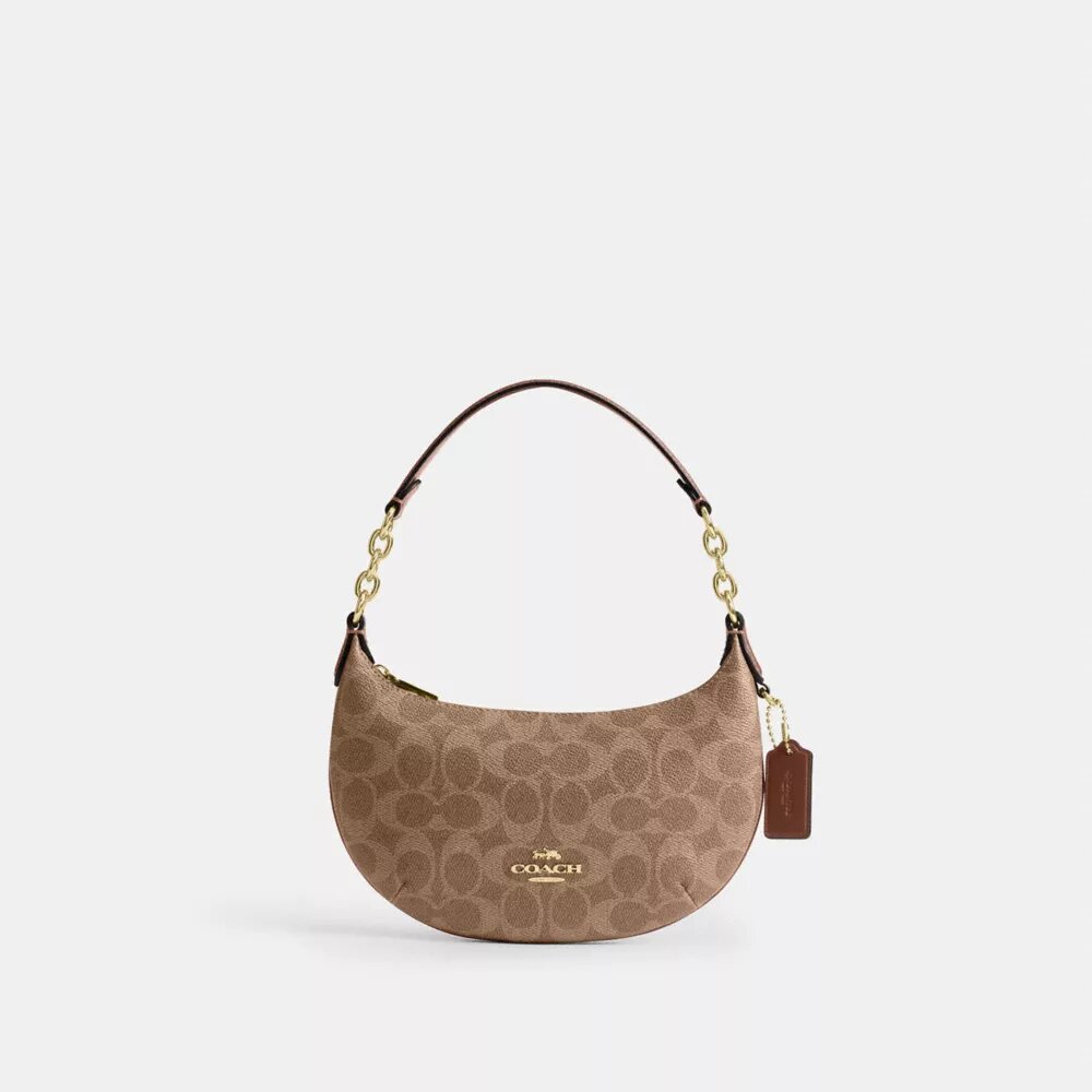 Bolso Mini Payton en Signature Canvas