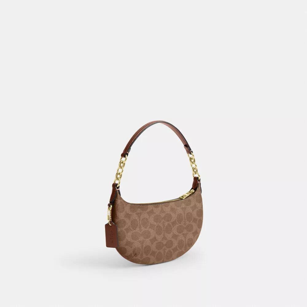 Bolso Mini Payton en Signature Canvas