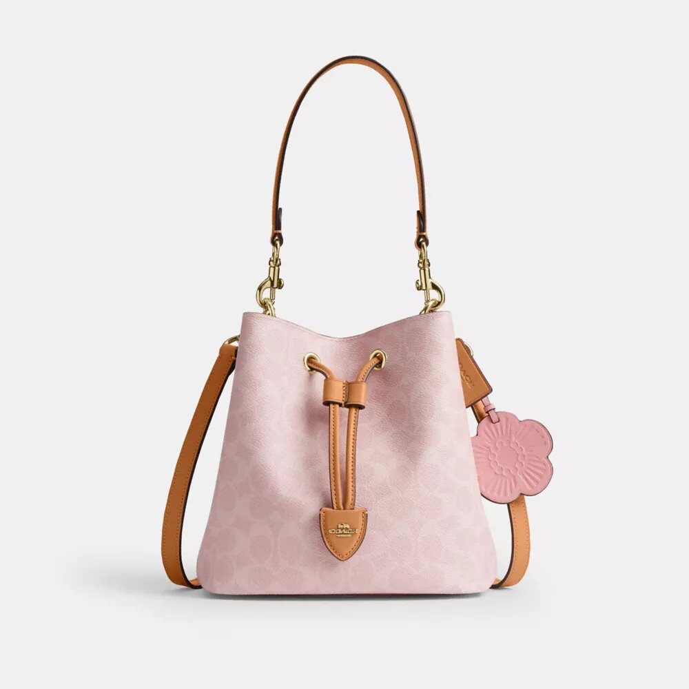 Bolso tipo cubo Rowan en Signature Canvas con Charms