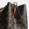 Bolso tipo cubo Rowan en Signature Canvas con Charms