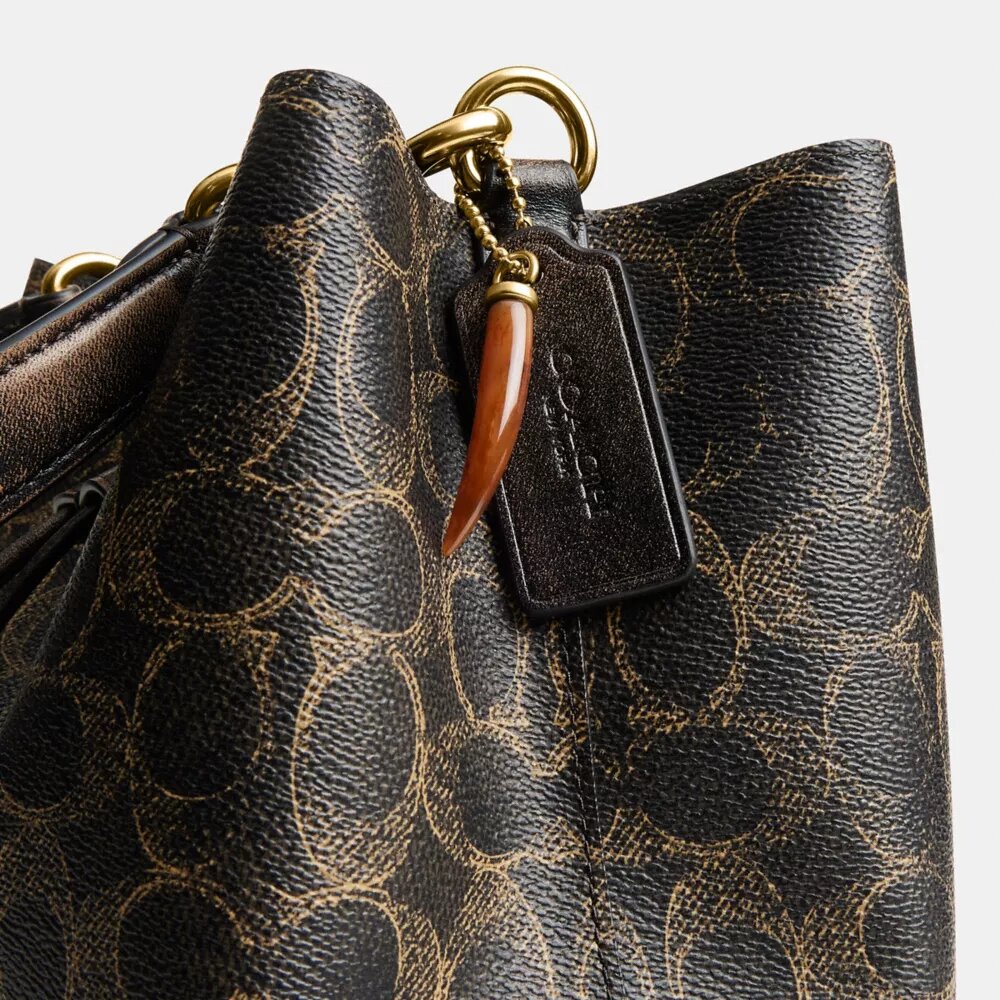 Bolso tipo cubo Rowan en Signature Canvas con Charms