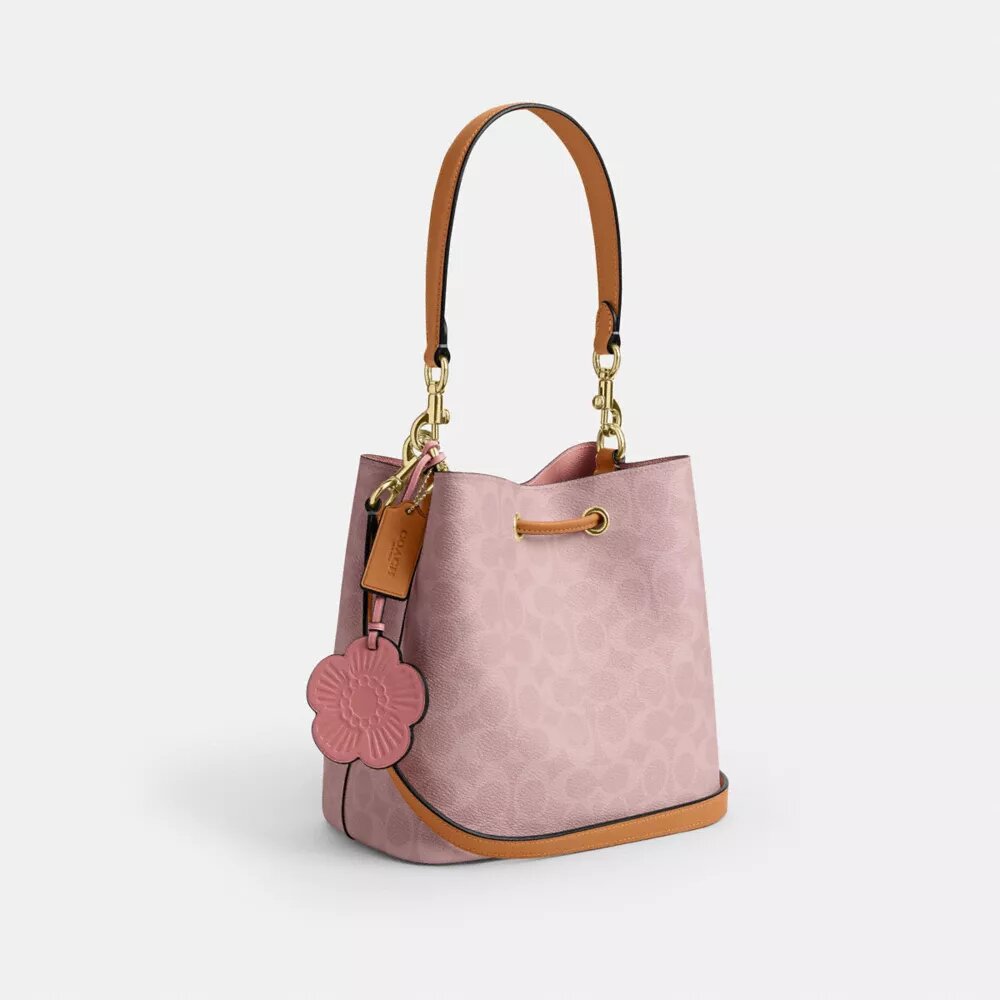 Bolso tipo cubo Rowan en Signature Canvas con Charms