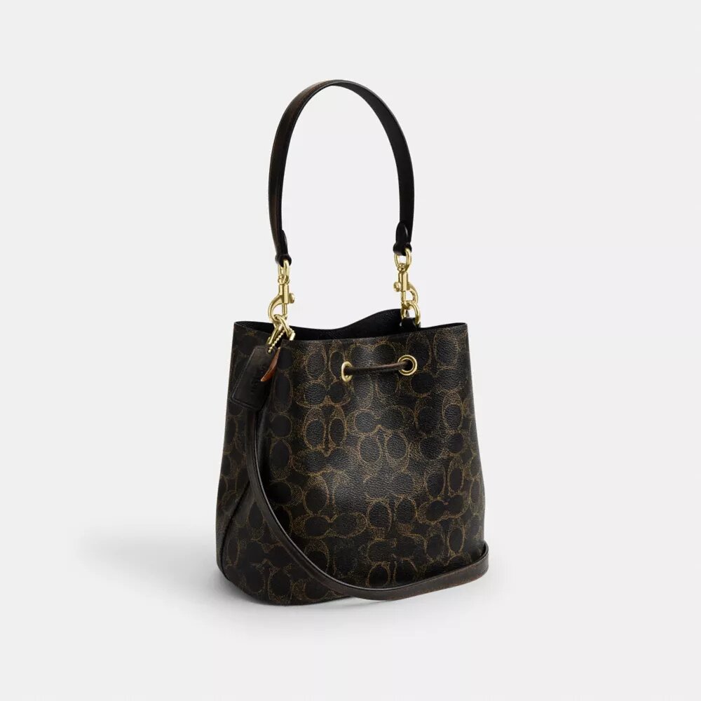 Bolso tipo cubo Rowan en Signature Canvas con Charms
