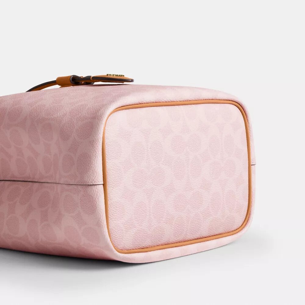 Bolso tipo cubo Rowan en Signature Canvas con Charms