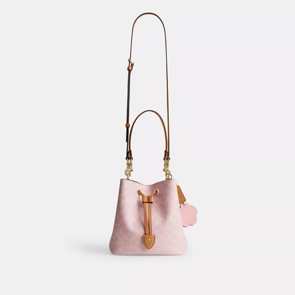 Bolso tipo cubo Rowan en Signature Canvas con Charms