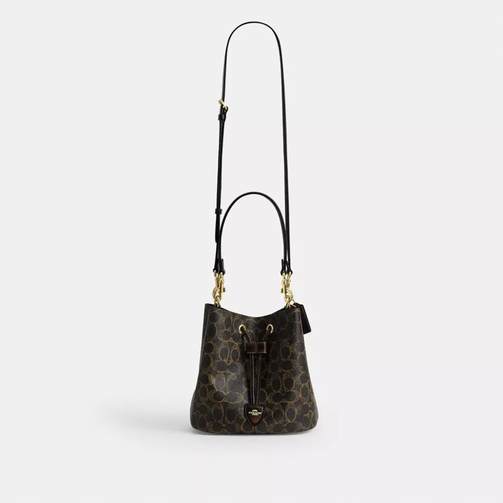Bolso tipo cubo Rowan en Signature Canvas con Charms