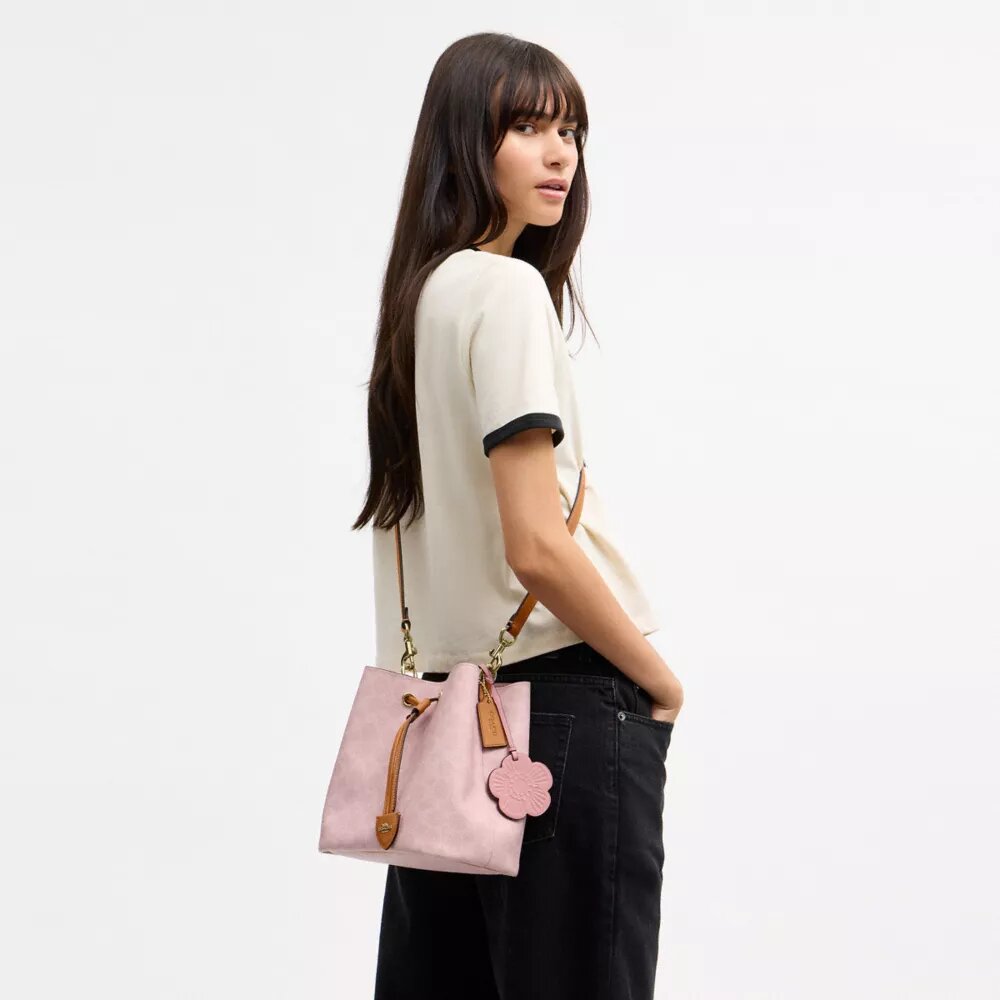 Bolso tipo cubo Rowan en Signature Canvas con Charms