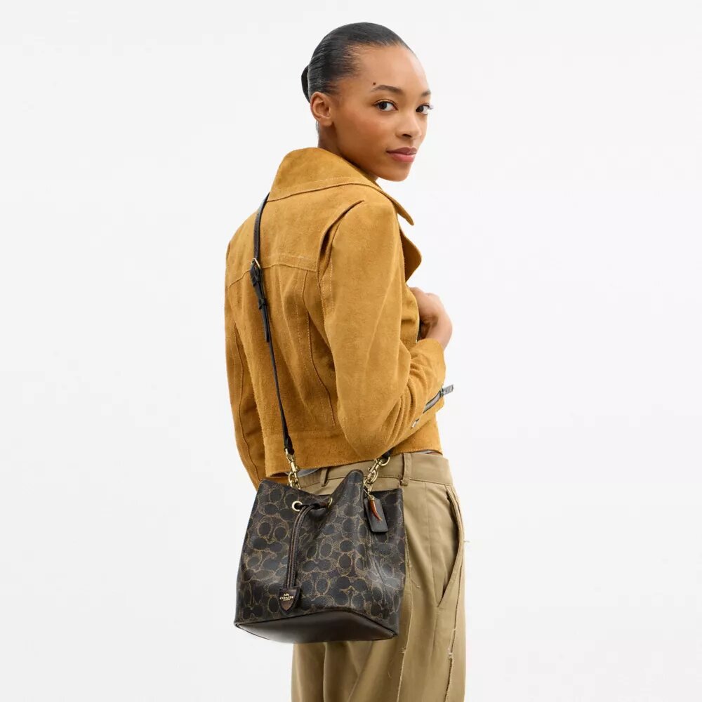 Bolso tipo cubo Rowan en Signature Canvas con Charms