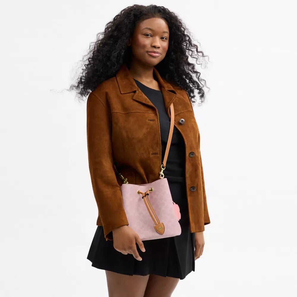 Bolso tipo cubo Rowan en Signature Canvas con Charms