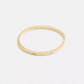 Brazalete con bisagra Essential