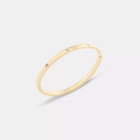 Brazalete con bisagra Essential