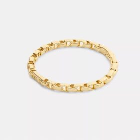 Brazalete con bisagra y cadena emblemática