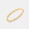 Brazalete con bisagra y cadena emblemática