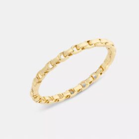 Brazalete con bisagra y cadena emblemática