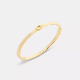 Brazalete fino con bisagra característico