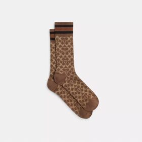 Calcetines cortos exclusivos