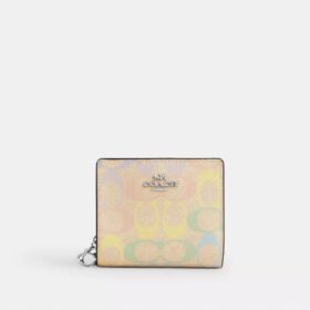 Cartera con cierre a presión en Signature Canvas «Rainbow»