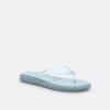 Chanclas de goma en el diseño característico