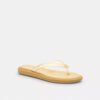 Chanclas de goma en el diseño característico