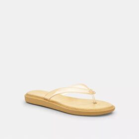 Chanclas de goma en el diseño característico