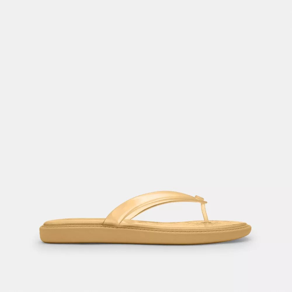 Chanclas de goma en el diseño característico