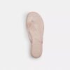 Chanclas de goma en el diseño característico
