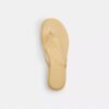 Chanclas de goma en el diseño característico