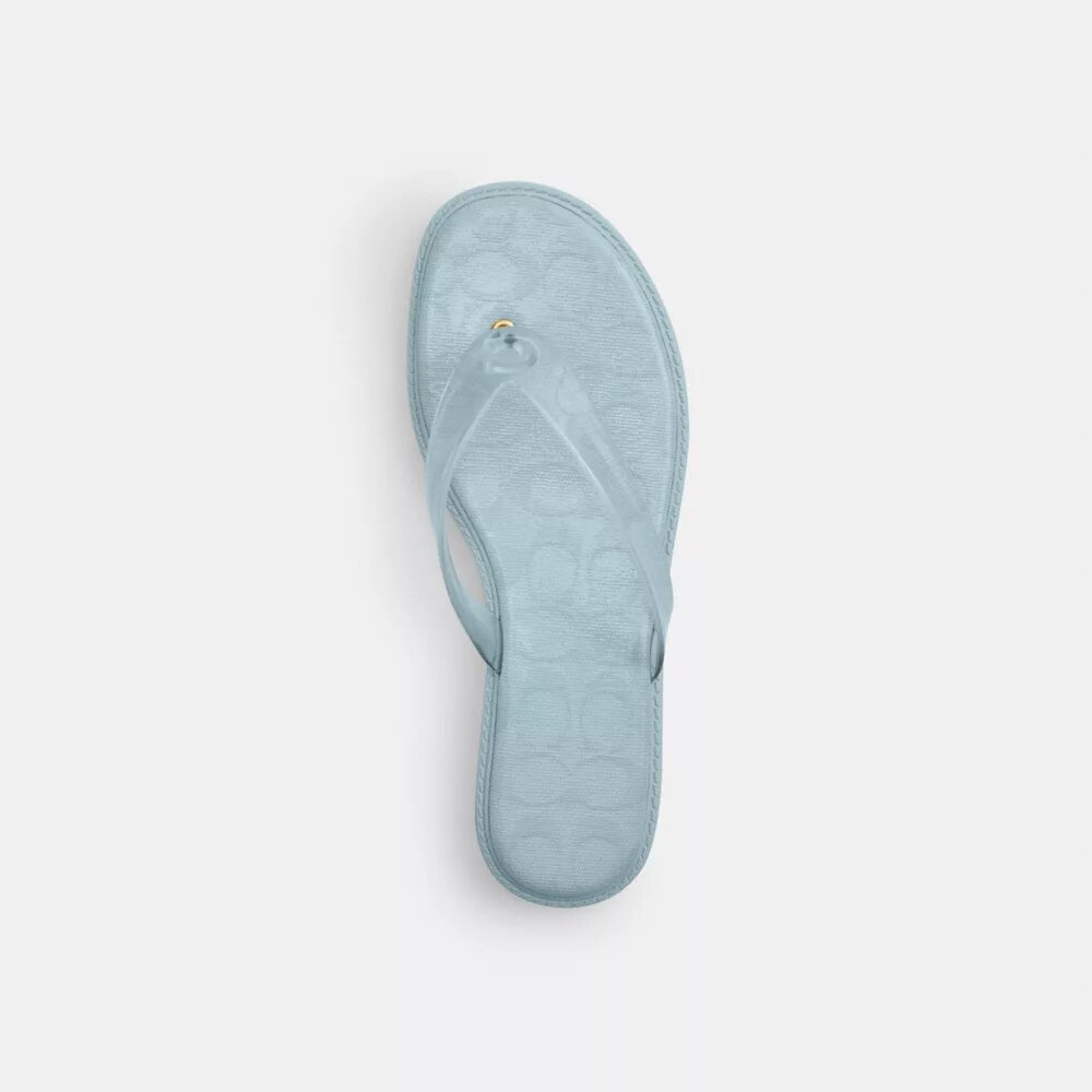Chanclas de goma en el diseño característico