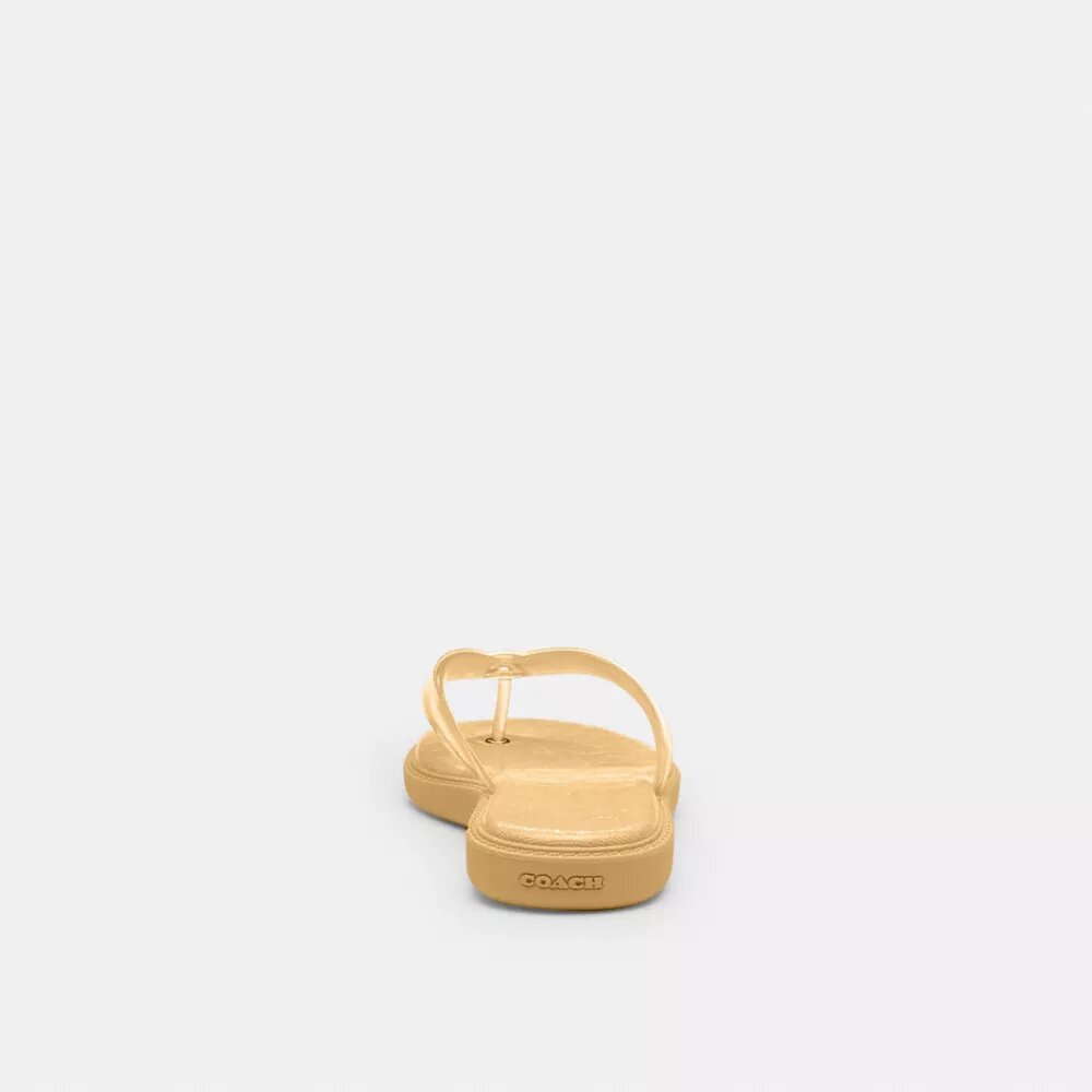 Chanclas de goma en el diseño característico