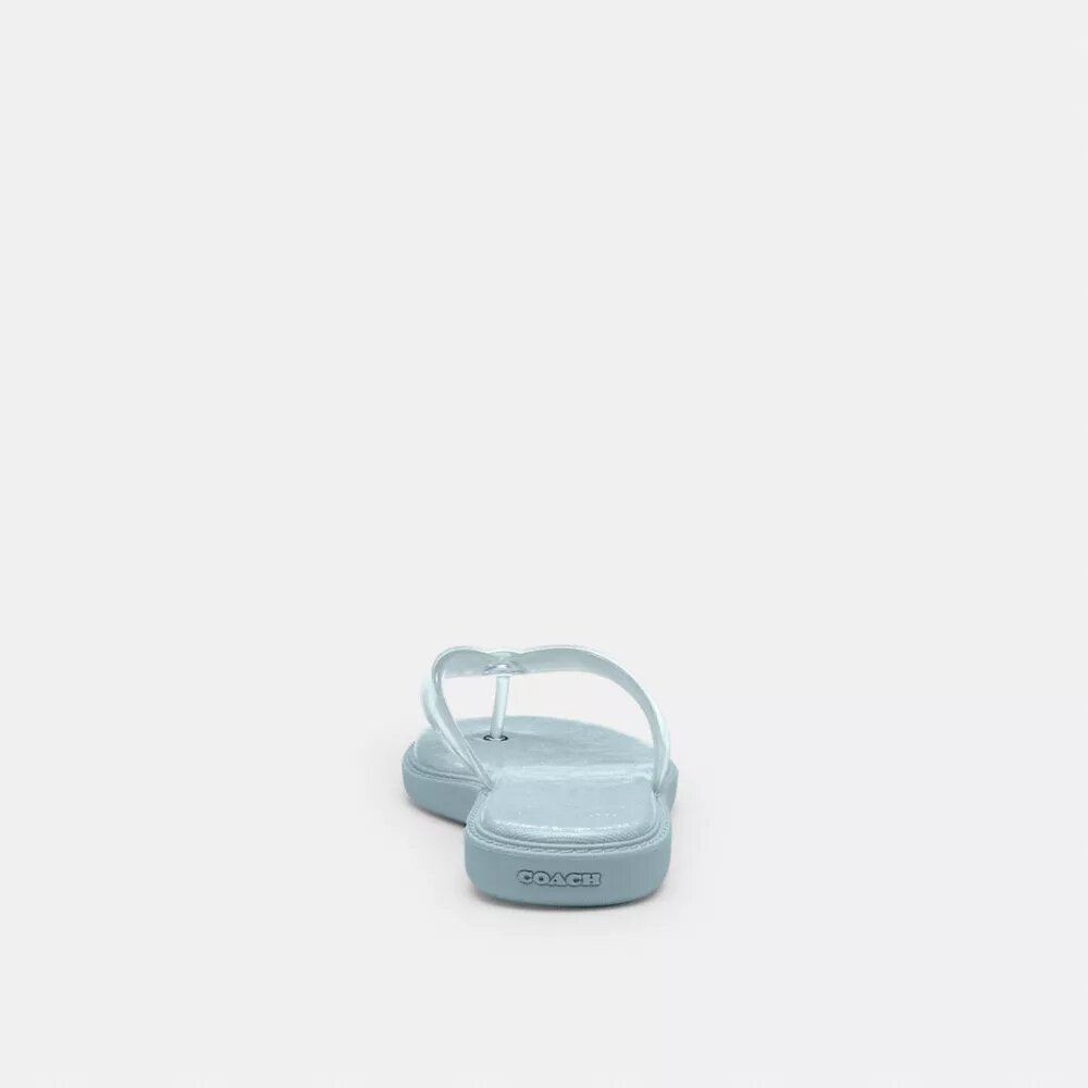 Chanclas de goma en el diseño característico