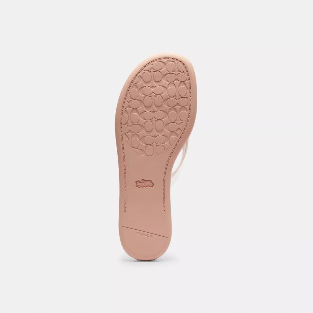 Chanclas de goma en el diseño característico