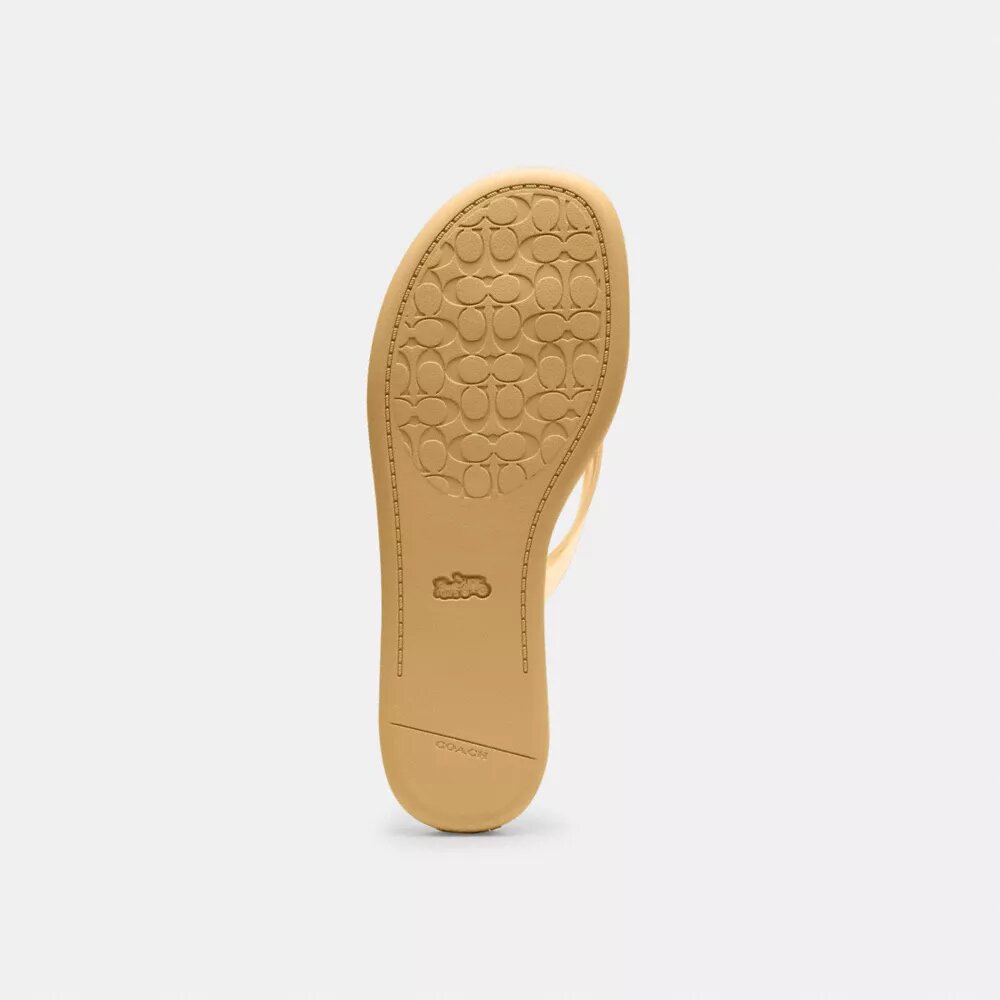 Chanclas de goma en el diseño característico