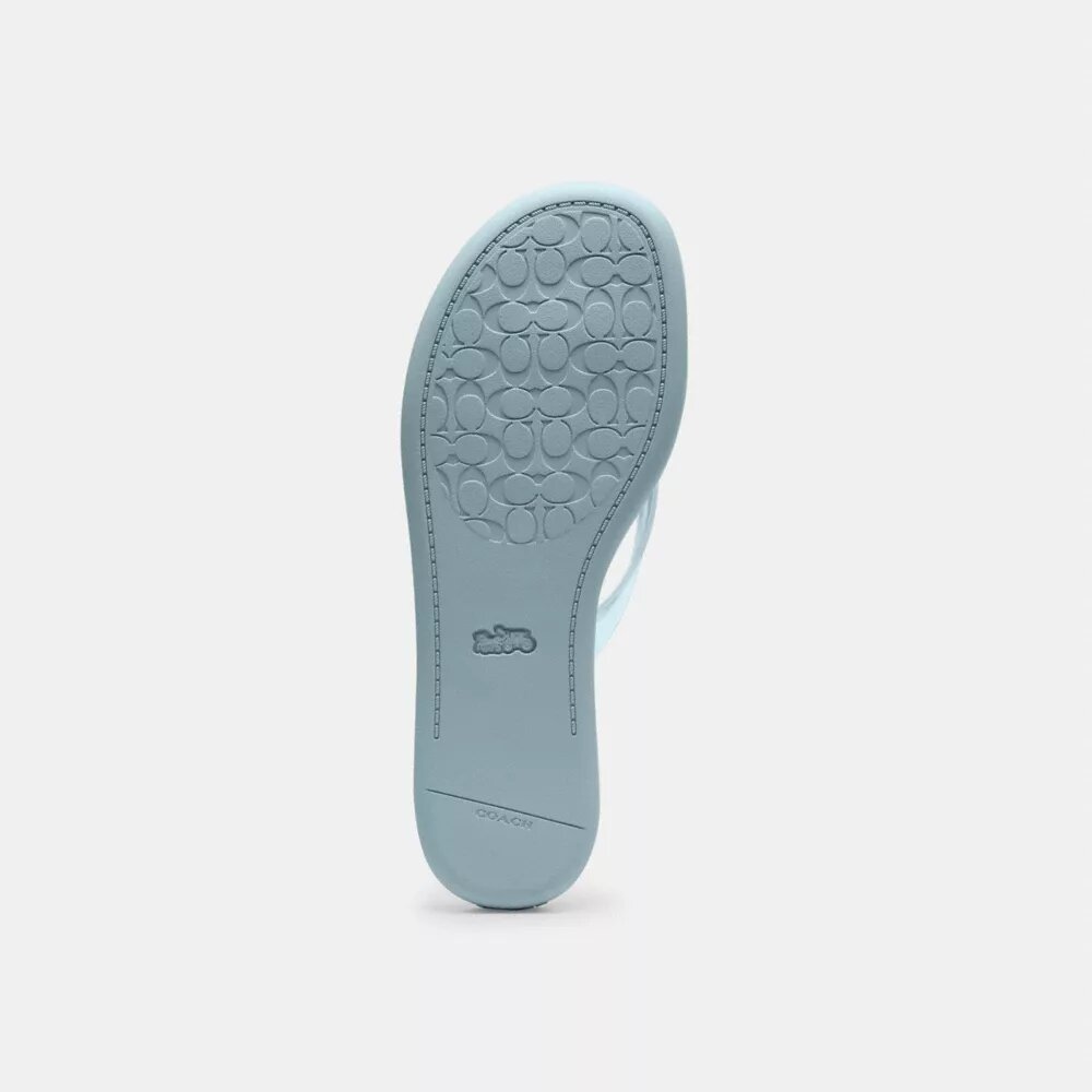 Chanclas de goma en el diseño característico