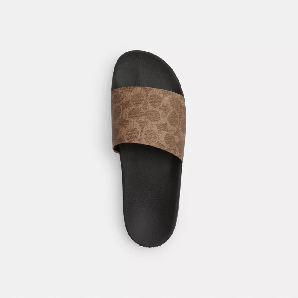 Chanclas sin cordones Signature Canvas