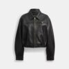 Chaqueta blouson corta Heritage C