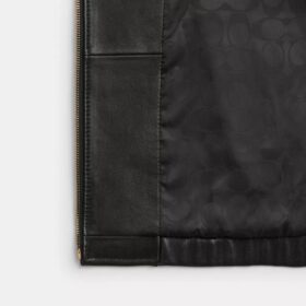 Chaqueta blouson corta Heritage C