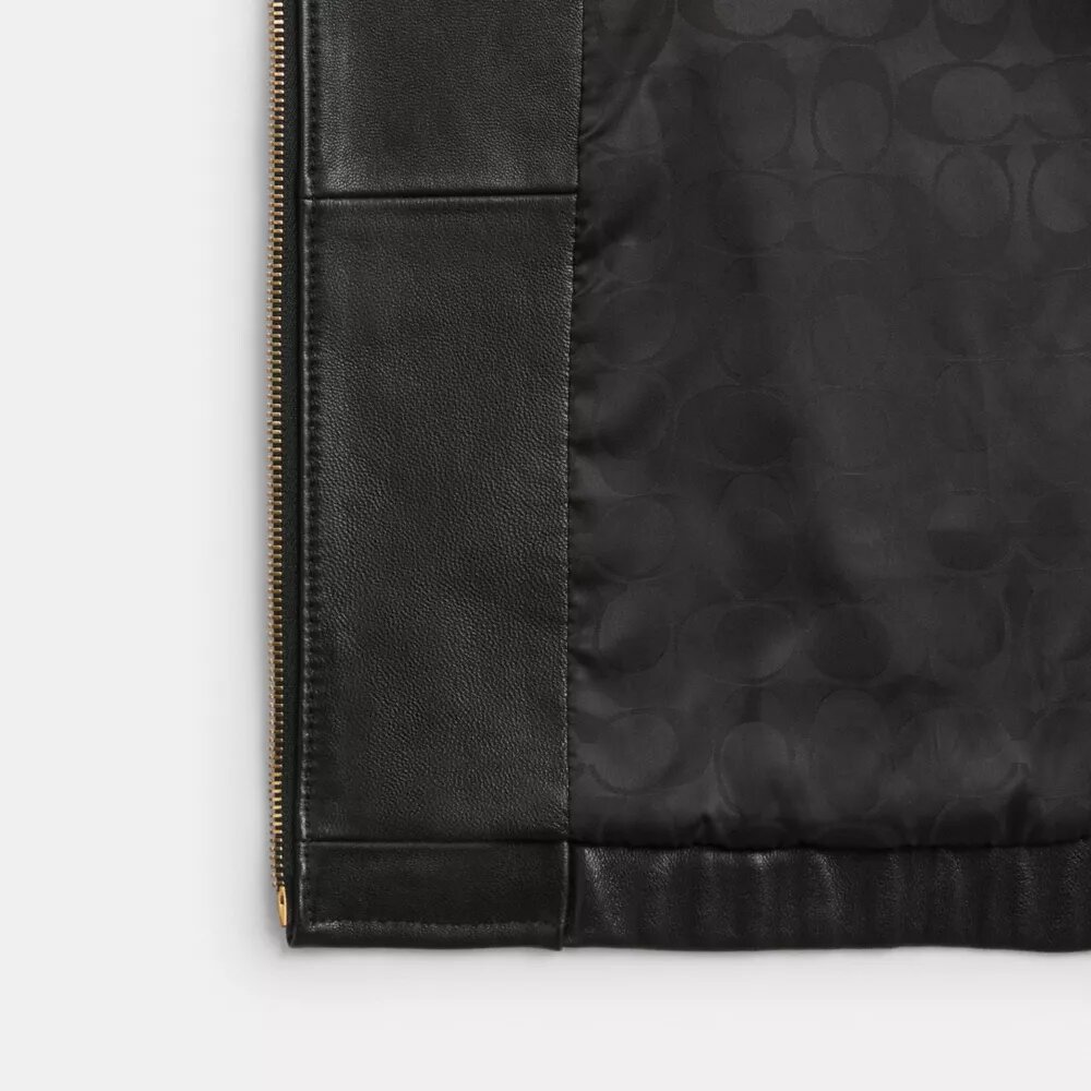 Chaqueta blouson corta Heritage C