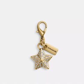 Charm de estrella de cristal «DIY»