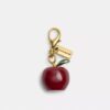 Charm de manzana «hazlo tú mismo»